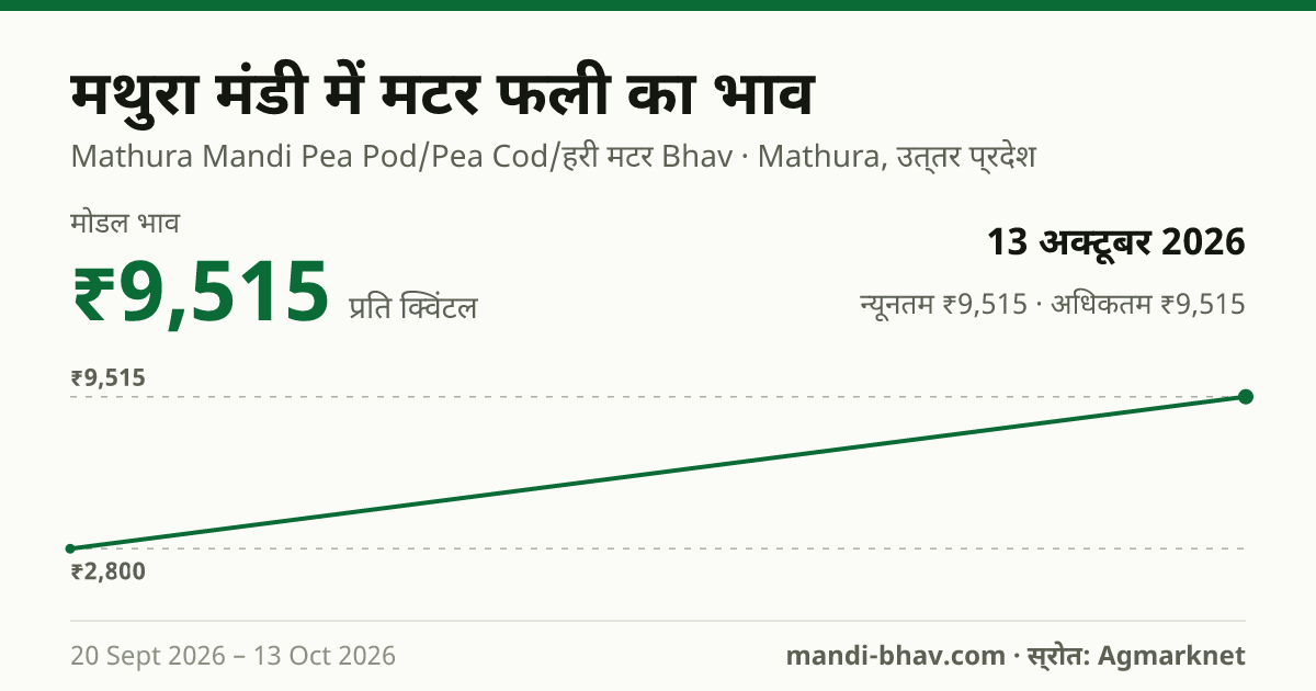 मथुरा मंडी में मटर फली का भाव 13 अक्टूबर 2026: मोडल ₹9,515 प्रति क्विंटल, भाव के रुझान का चार्ट