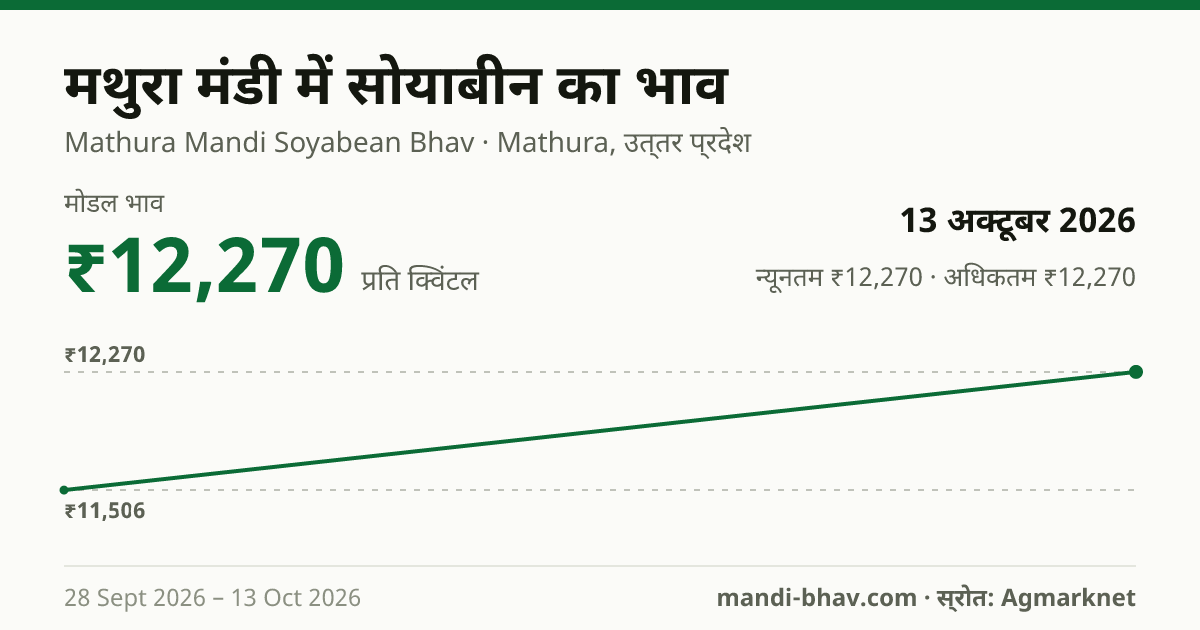 मथुरा मंडी में सोयाबीन का भाव 13 अक्टूबर 2026: मोडल ₹12,270 प्रति क्विंटल, भाव के रुझान का चार्ट