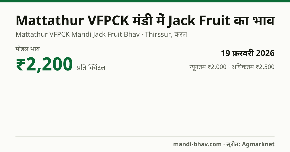 Mattathur VFPCK मंडी में Jack Fruit का भाव 19 फ़रवरी 2026: मोडल ₹2,200 प्रति क्विंटल, भाव के रुझान का चार्ट