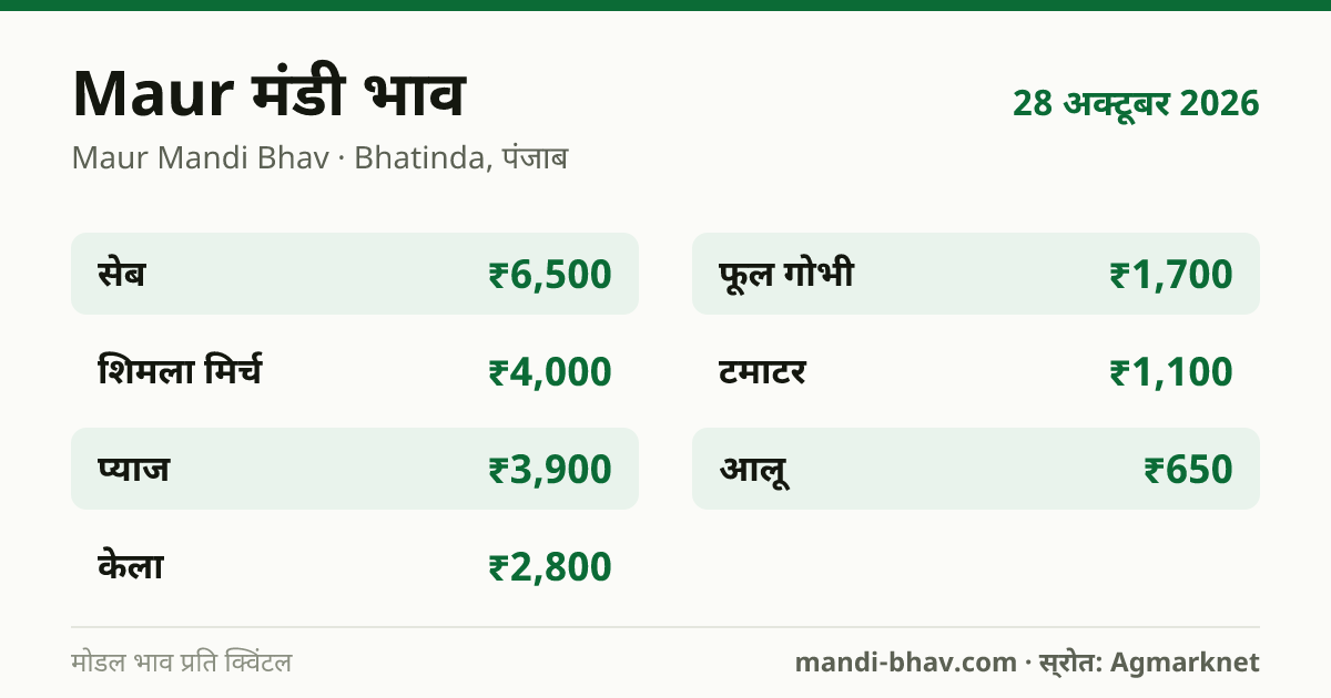Maur मंडी भाव 28 अक्टूबर 2026: फसलवार मोडल रेट प्रति क्विंटल