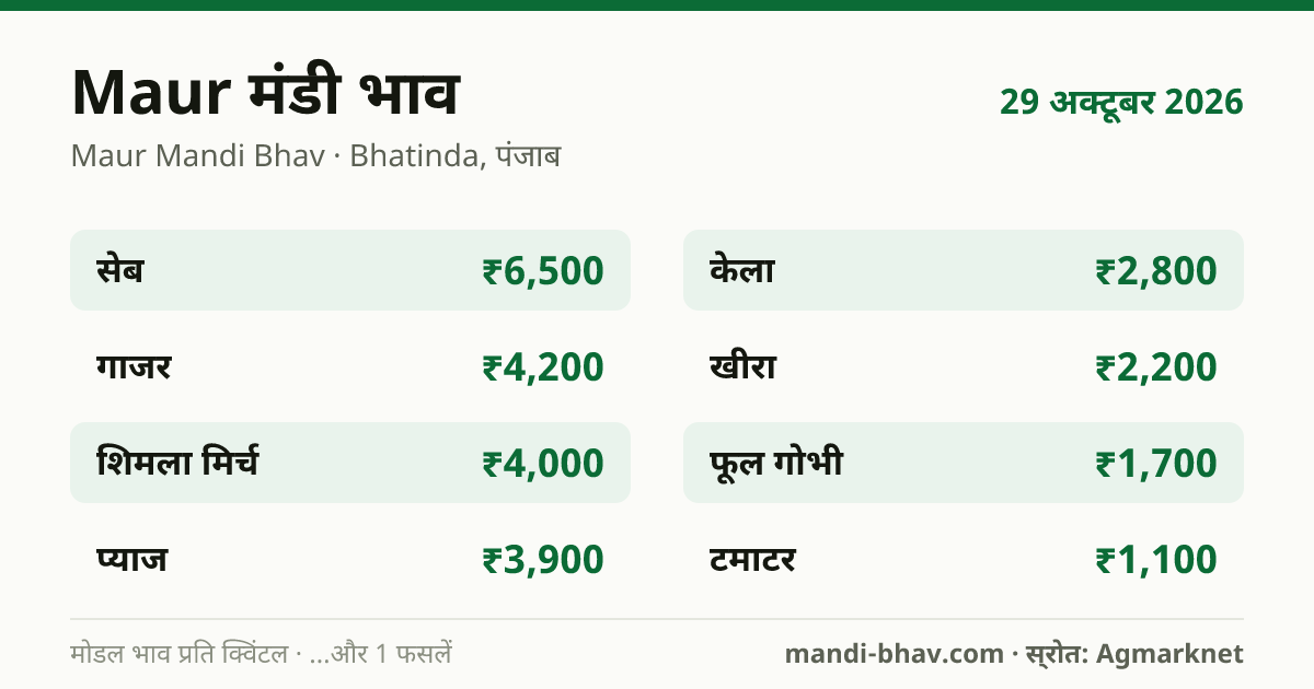 Maur मंडी भाव 29 अक्टूबर 2026: फसलवार मोडल रेट प्रति क्विंटल