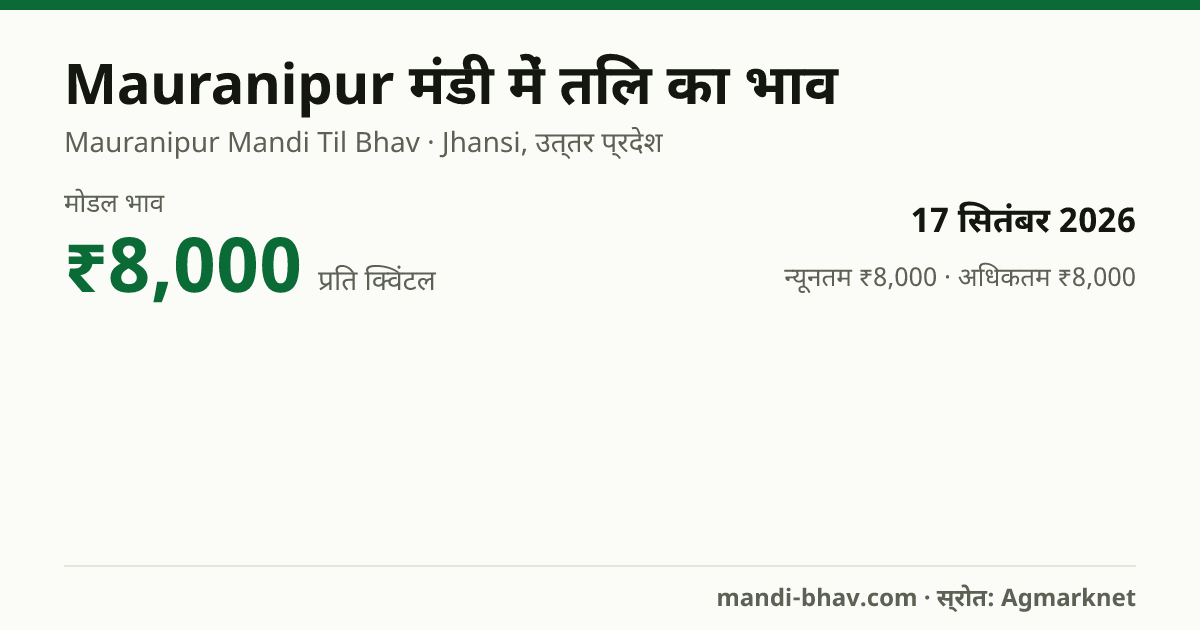 Mauranipur मंडी में तिल का भाव 17 सितंबर 2026: मोडल ₹8,000 प्रति क्विंटल, भाव के रुझान का चार्ट