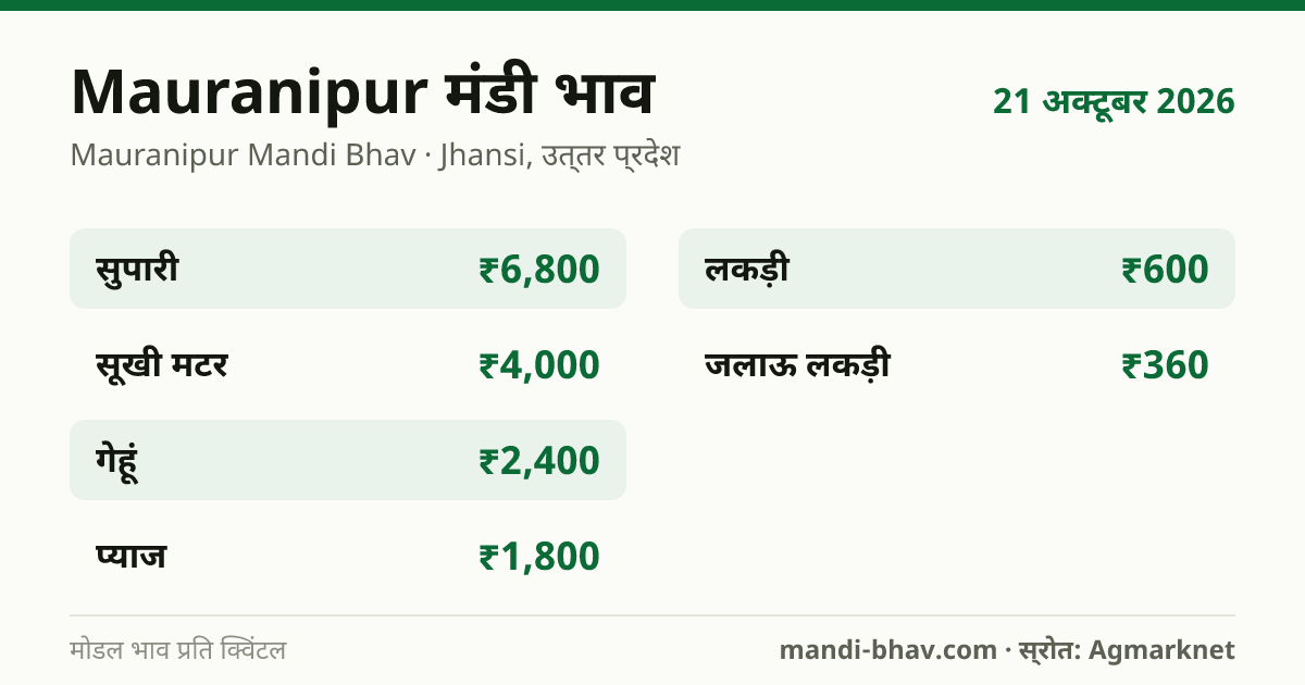 Mauranipur मंडी भाव 21 अक्टूबर 2026: फसलवार मोडल रेट प्रति क्विंटल