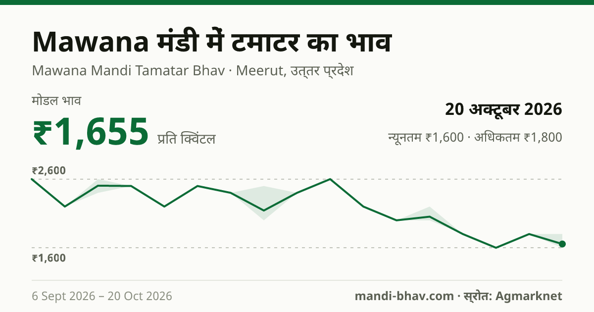 Mawana मंडी में टमाटर का भाव 20 अक्टूबर 2026: मोडल ₹1,655 प्रति क्विंटल, भाव के रुझान का चार्ट