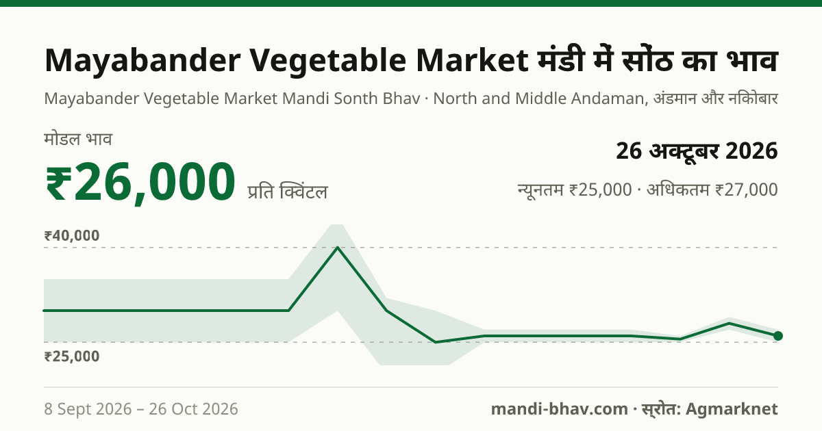 Mayabander Vegetable Market मंडी में सोंठ का भाव 26 अक्टूबर 2026: मोडल ₹26,000 प्रति क्विंटल, भाव के रुझान का चार्ट