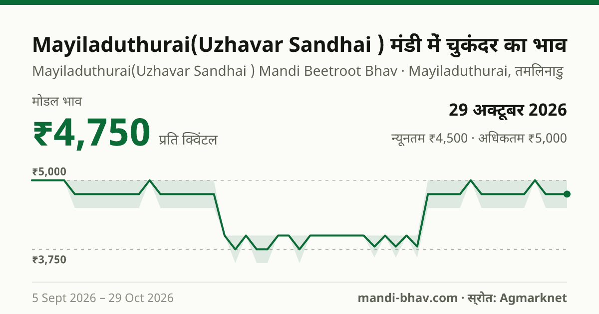 Mayiladuthurai(Uzhavar Sandhai ) मंडी में चुकंदर का भाव 29 अक्टूबर 2026: मोडल ₹4,750 प्रति क्विंटल, भाव के रुझान का चार्ट