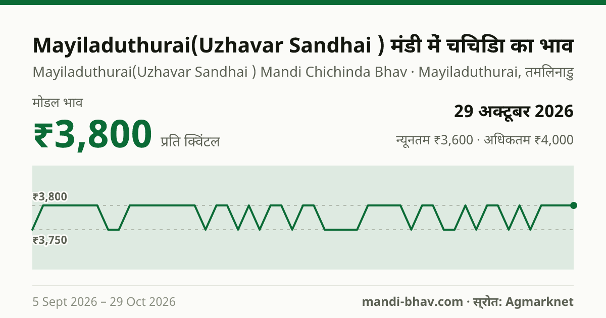 Mayiladuthurai(Uzhavar Sandhai ) मंडी में चिचिंडा का भाव 29 अक्टूबर 2026: मोडल ₹3,800 प्रति क्विंटल, भाव के रुझान का चार्ट