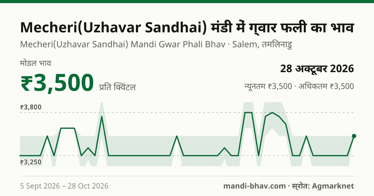 Mecheri(Uzhavar Sandhai) मंडी में ग्वार फली का भाव 28 अक्टूबर 2026: मोडल ₹3,500 प्रति क्विंटल, भाव के रुझान का चार्ट
