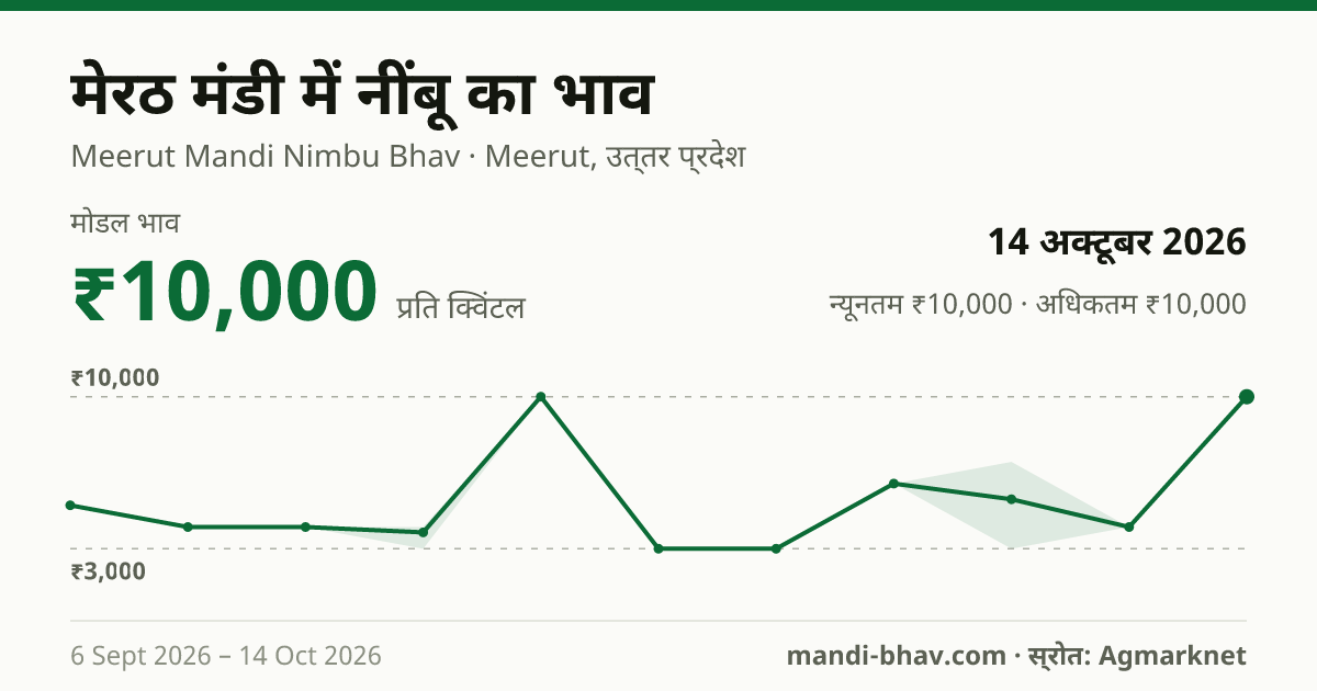 मेरठ मंडी में नींबू का भाव 14 अक्टूबर 2026: मोडल ₹10,000 प्रति क्विंटल, भाव के रुझान का चार्ट
