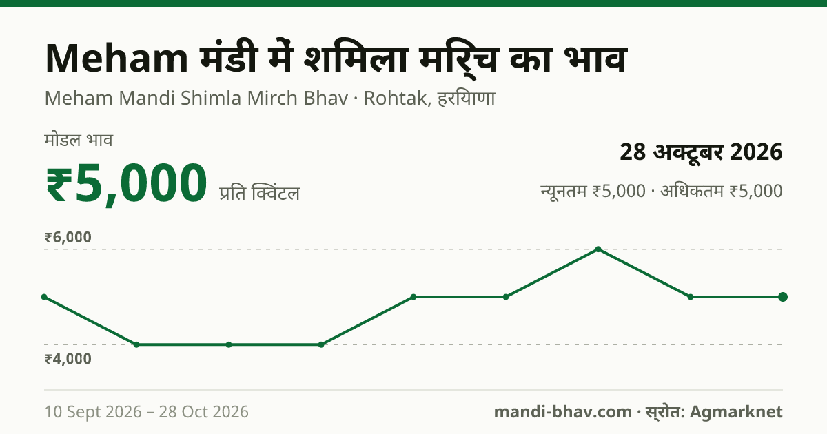 Meham मंडी में शिमला मिर्च का भाव 28 अक्टूबर 2026: मोडल ₹5,000 प्रति क्विंटल, भाव के रुझान का चार्ट