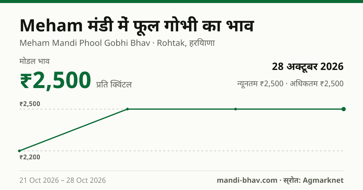 Meham मंडी में फूल गोभी का भाव 28 अक्टूबर 2026: मोडल ₹2,500 प्रति क्विंटल, भाव के रुझान का चार्ट
