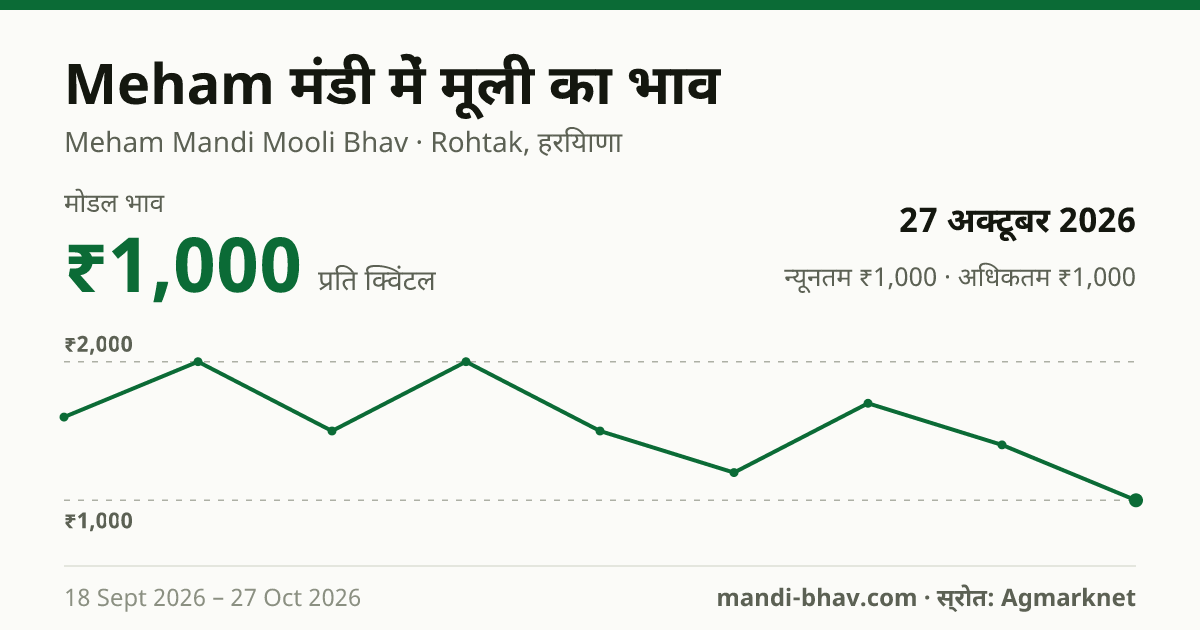 Meham मंडी में मूली का भाव 27 अक्टूबर 2026: मोडल ₹1,000 प्रति क्विंटल, भाव के रुझान का चार्ट