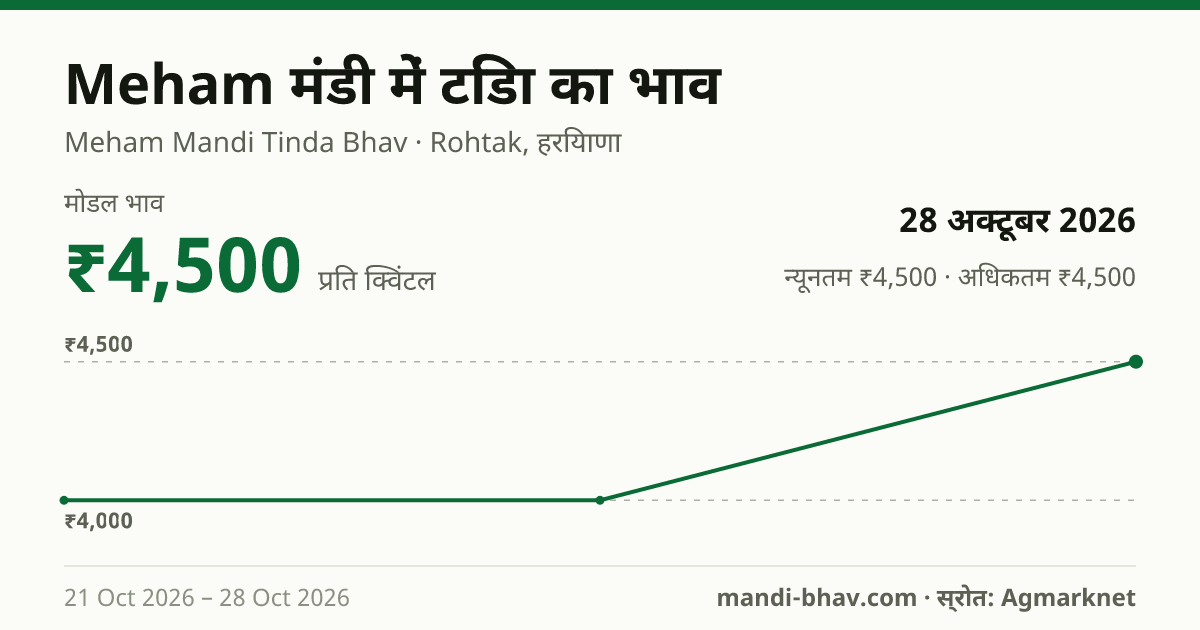 Meham मंडी में टिंडा का भाव 28 अक्टूबर 2026: मोडल ₹4,500 प्रति क्विंटल, भाव के रुझान का चार्ट