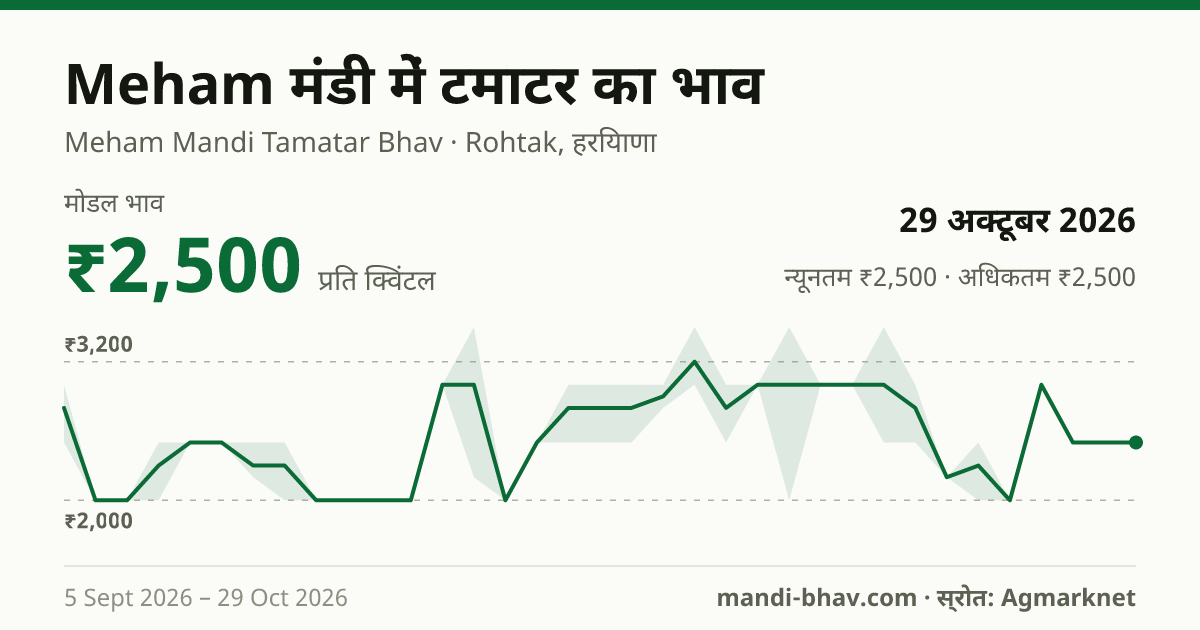 Meham मंडी में टमाटर का भाव 29 अक्टूबर 2026: मोडल ₹2,500 प्रति क्विंटल, भाव के रुझान का चार्ट