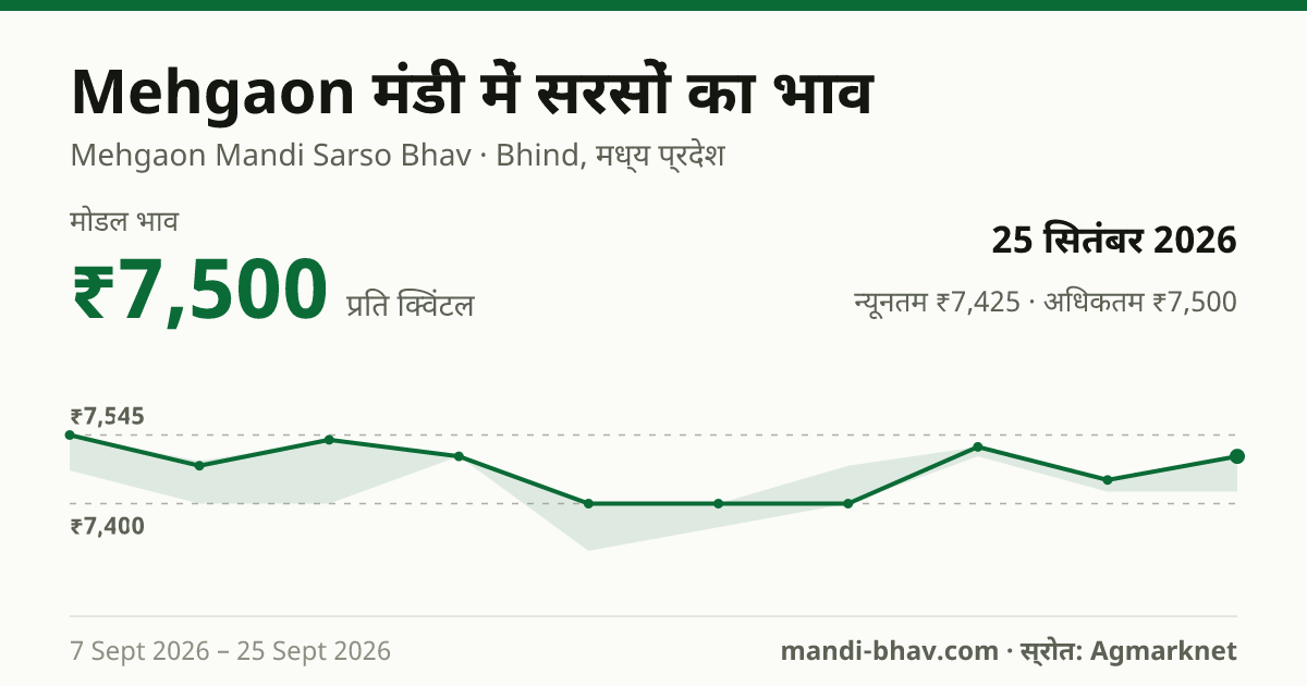 Mehgaon मंडी में सरसों का भाव 25 सितंबर 2026: मोडल ₹7,500 प्रति क्विंटल, भाव के रुझान का चार्ट