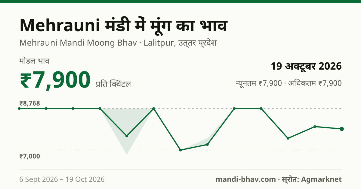Mehrauni मंडी में मूंग का भाव 19 अक्टूबर 2026: मोडल ₹7,900 प्रति क्विंटल, भाव के रुझान का चार्ट