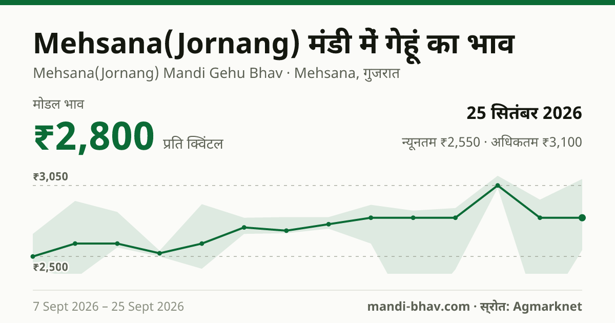 Mehsana(Jornang) मंडी में गेहूं का भाव 25 सितंबर 2026: मोडल ₹2,800 प्रति क्विंटल, भाव के रुझान का चार्ट