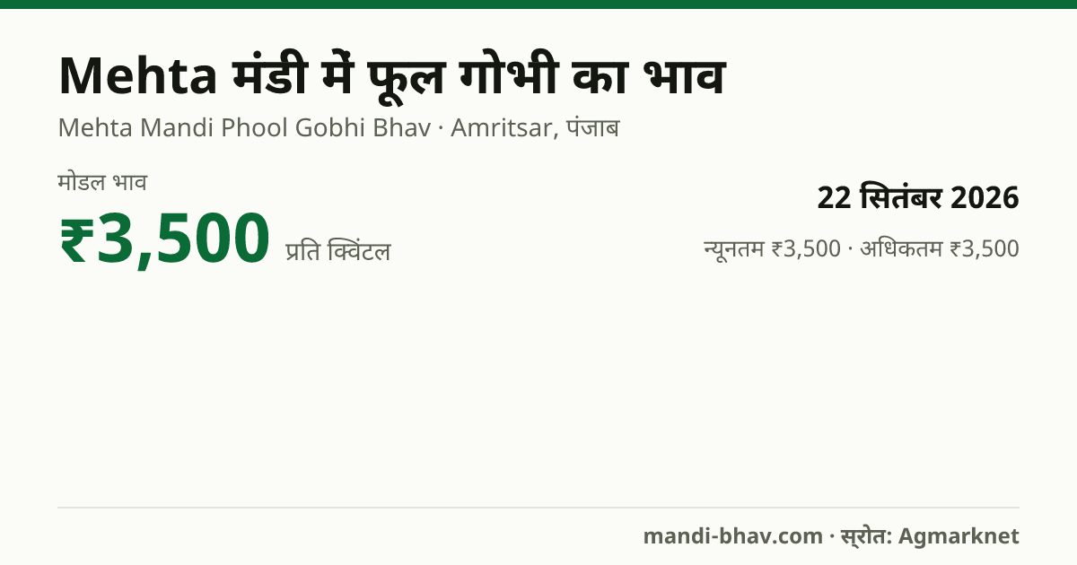 Mehta मंडी में फूल गोभी का भाव 22 सितंबर 2026: मोडल ₹3,500 प्रति क्विंटल, भाव के रुझान का चार्ट