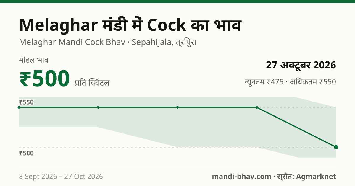 Melaghar मंडी में Cock का भाव 27 अक्टूबर 2026: मोडल ₹500 प्रति क्विंटल, भाव के रुझान का चार्ट