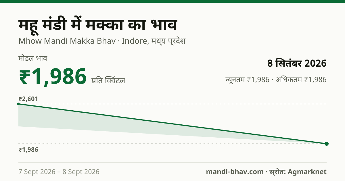 महू मंडी में मक्का का भाव 8 सितंबर 2026: मोडल ₹1,986 प्रति क्विंटल, भाव के रुझान का चार्ट