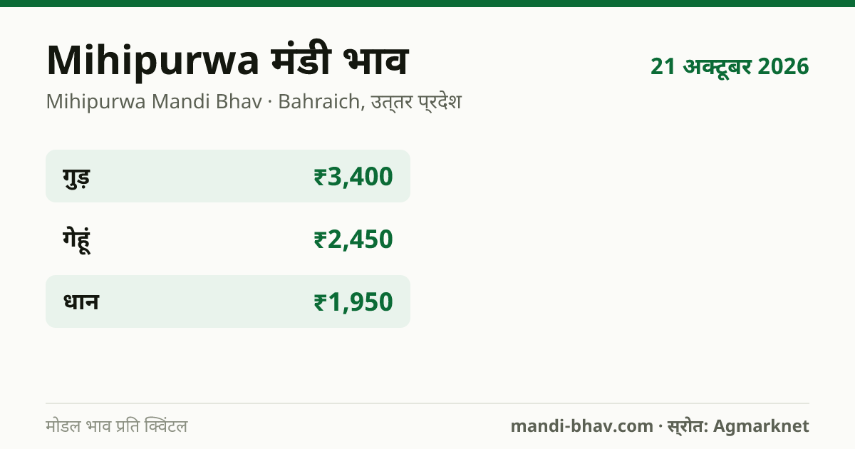 Mihipurwa मंडी भाव 21 अक्टूबर 2026: फसलवार मोडल रेट प्रति क्विंटल