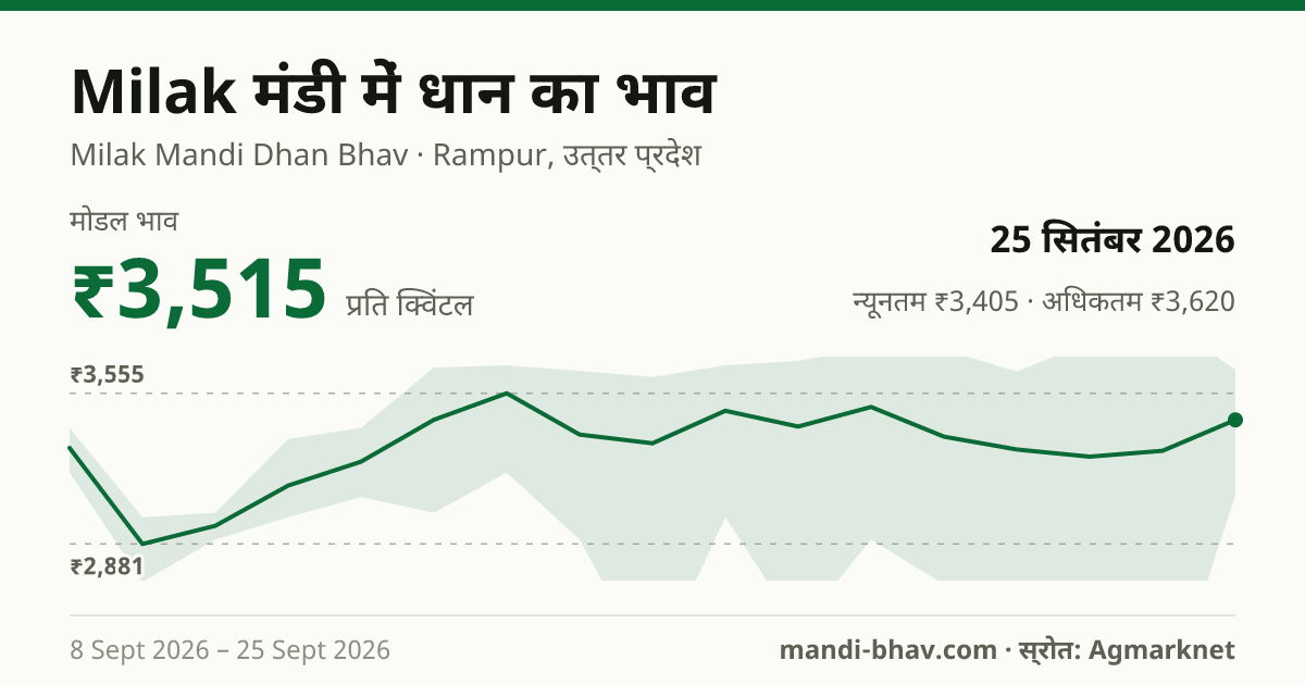 Milak मंडी में धान का भाव 25 सितंबर 2026: मोडल ₹3,515 प्रति क्विंटल, भाव के रुझान का चार्ट