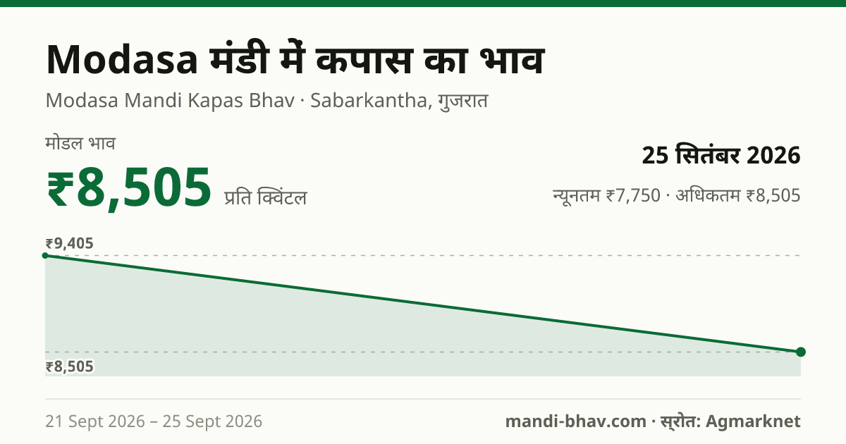 Modasa मंडी में कपास का भाव 25 सितंबर 2026: मोडल ₹8,505 प्रति क्विंटल, भाव के रुझान का चार्ट