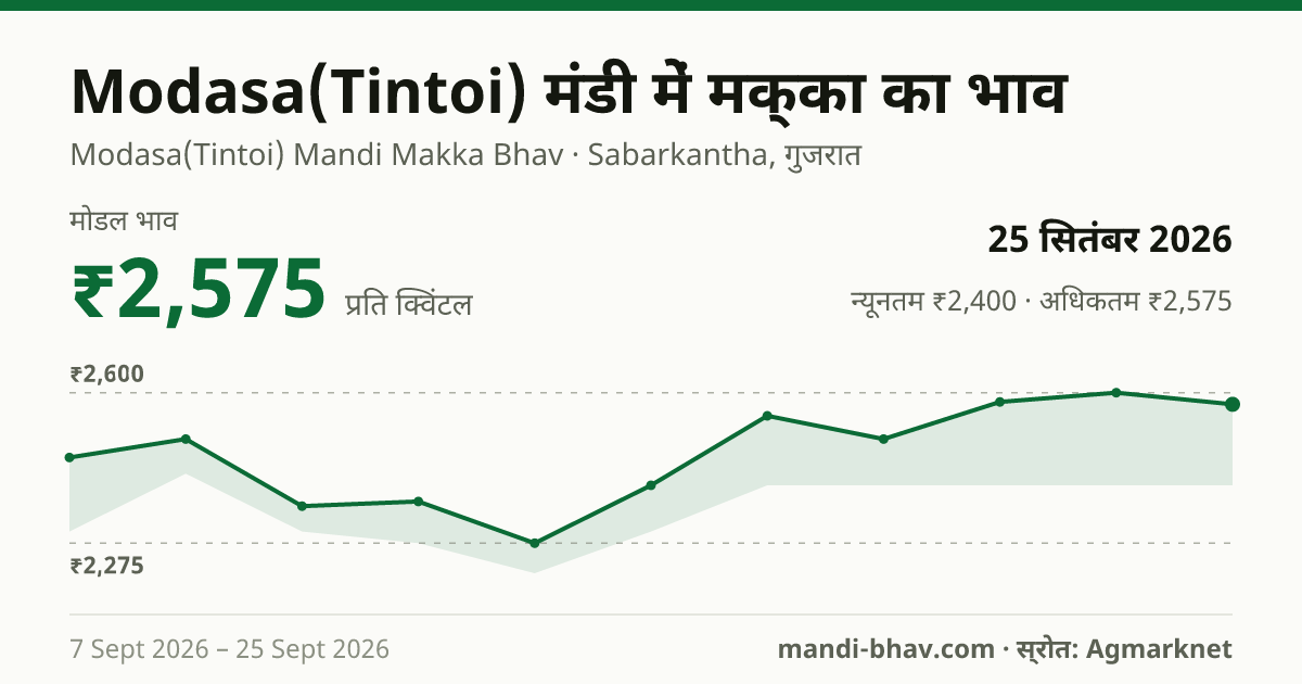 Modasa(Tintoi) मंडी में मक्का का भाव 25 सितंबर 2026: मोडल ₹2,575 प्रति क्विंटल, भाव के रुझान का चार्ट