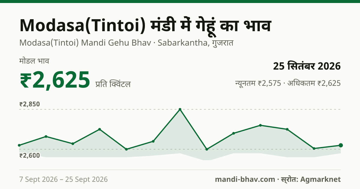 Modasa(Tintoi) मंडी में गेहूं का भाव 25 सितंबर 2026: मोडल ₹2,625 प्रति क्विंटल, भाव के रुझान का चार्ट