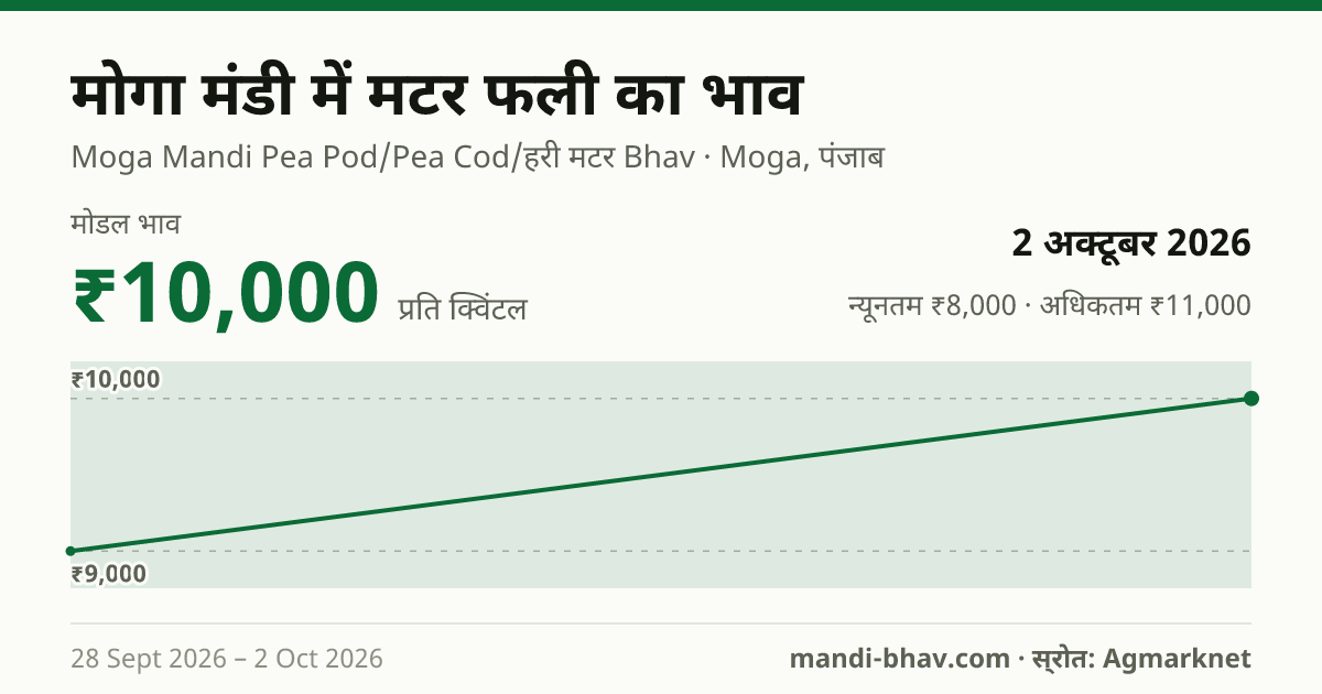 मोगा मंडी में मटर फली का भाव 2 अक्टूबर 2026: मोडल ₹10,000 प्रति क्विंटल, भाव के रुझान का चार्ट