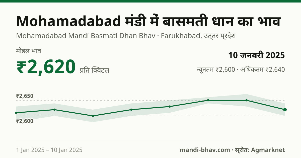 Mohamadabad मंडी में Paddy (Dhan) (Basmati) का भाव 10 जनवरी 2025: मोडल ₹2,620 प्रति क्विंटल, भाव के रुझान का चार्ट