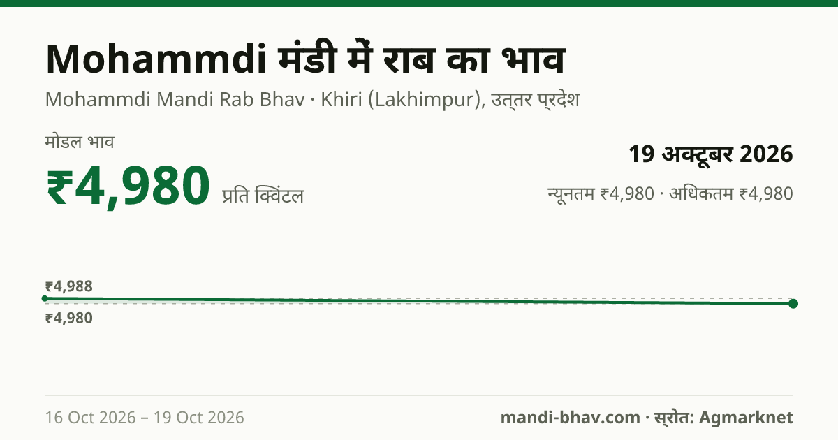 Mohammdi मंडी में Rab/Liquid Jaggery/Molasses का भाव 19 अक्टूबर 2026: मोडल ₹4,980 प्रति क्विंटल, भाव के रुझान का चार्ट