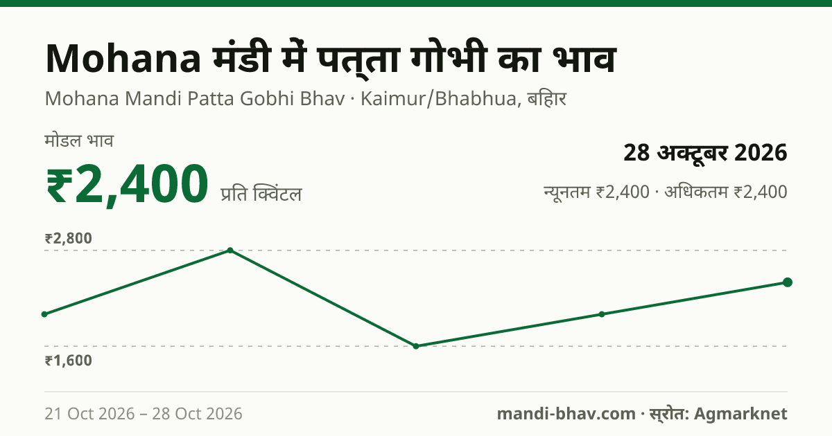 Mohana मंडी में पत्ता गोभी का भाव 28 अक्टूबर 2026: मोडल ₹2,400 प्रति क्विंटल, भाव के रुझान का चार्ट