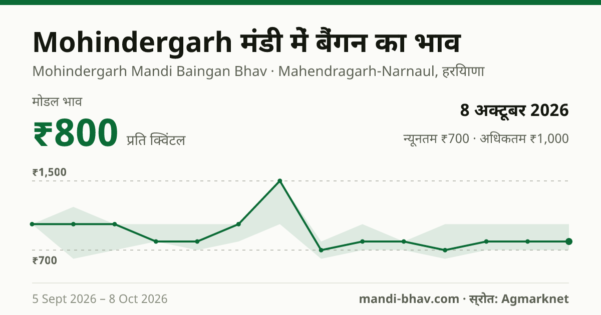 Mohindergarh मंडी में बैंगन का भाव 8 अक्टूबर 2026: मोडल ₹800 प्रति क्विंटल, भाव के रुझान का चार्ट