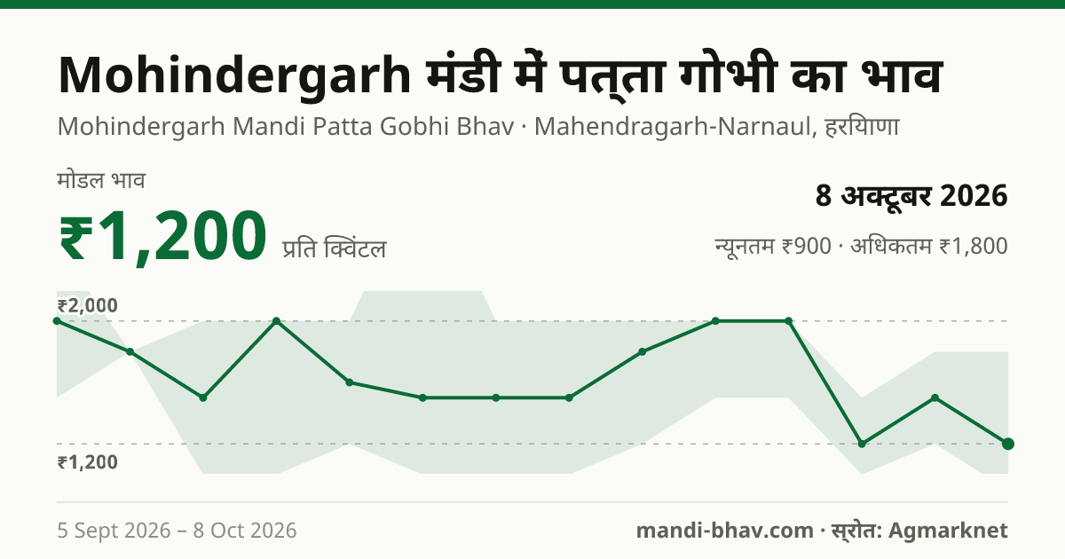 Mohindergarh मंडी में पत्ता गोभी का भाव 8 अक्टूबर 2026: मोडल ₹1,200 प्रति क्विंटल, भाव के रुझान का चार्ट