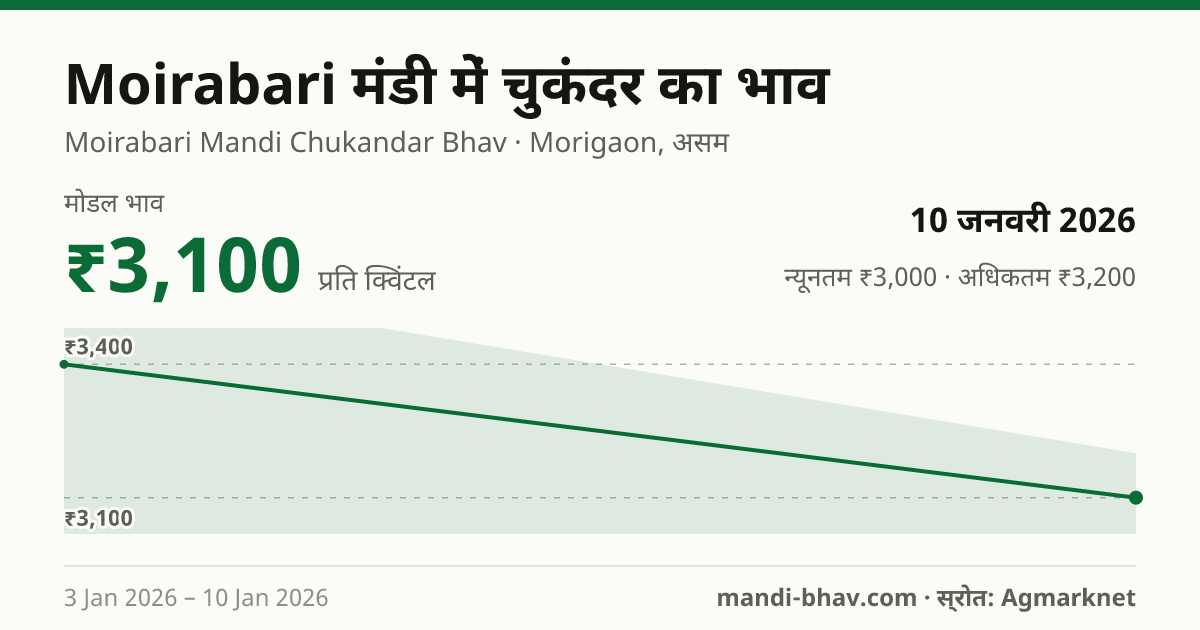 Moirabari मंडी में चुकंदर का भाव 10 जनवरी 2026: मोडल ₹3,100 प्रति क्विंटल, भाव के रुझान का चार्ट