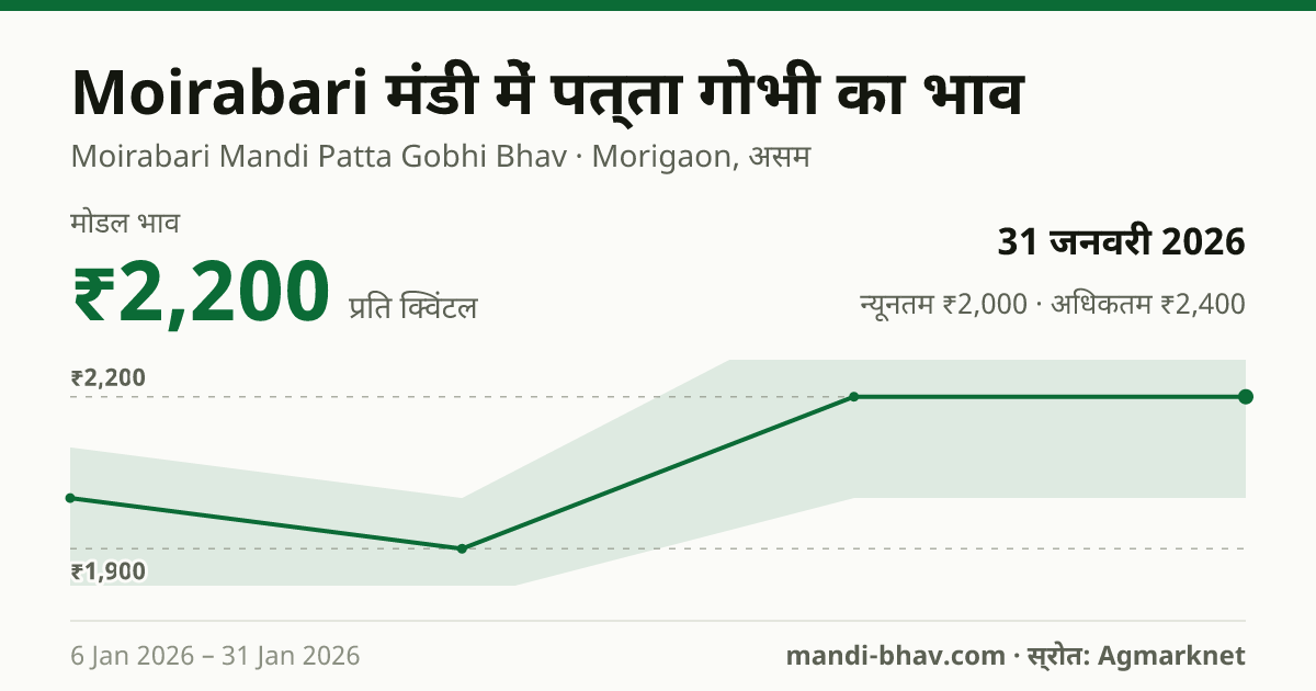 Moirabari मंडी में पत्ता गोभी का भाव 31 जनवरी 2026: मोडल ₹2,200 प्रति क्विंटल, भाव के रुझान का चार्ट