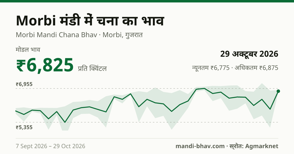 Morbi मंडी में चना का भाव 29 अक्टूबर 2026: मोडल ₹6,825 प्रति क्विंटल, भाव के रुझान का चार्ट
