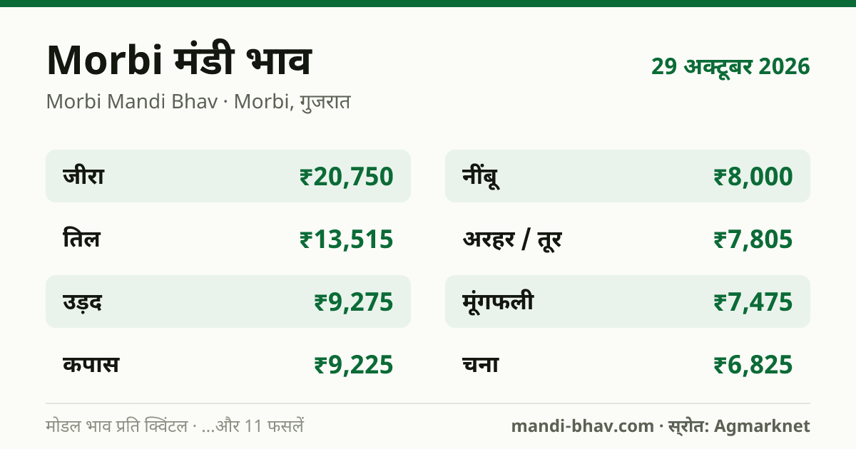 Morbi मंडी भाव 29 अक्टूबर 2026: फसलवार मोडल रेट प्रति क्विंटल