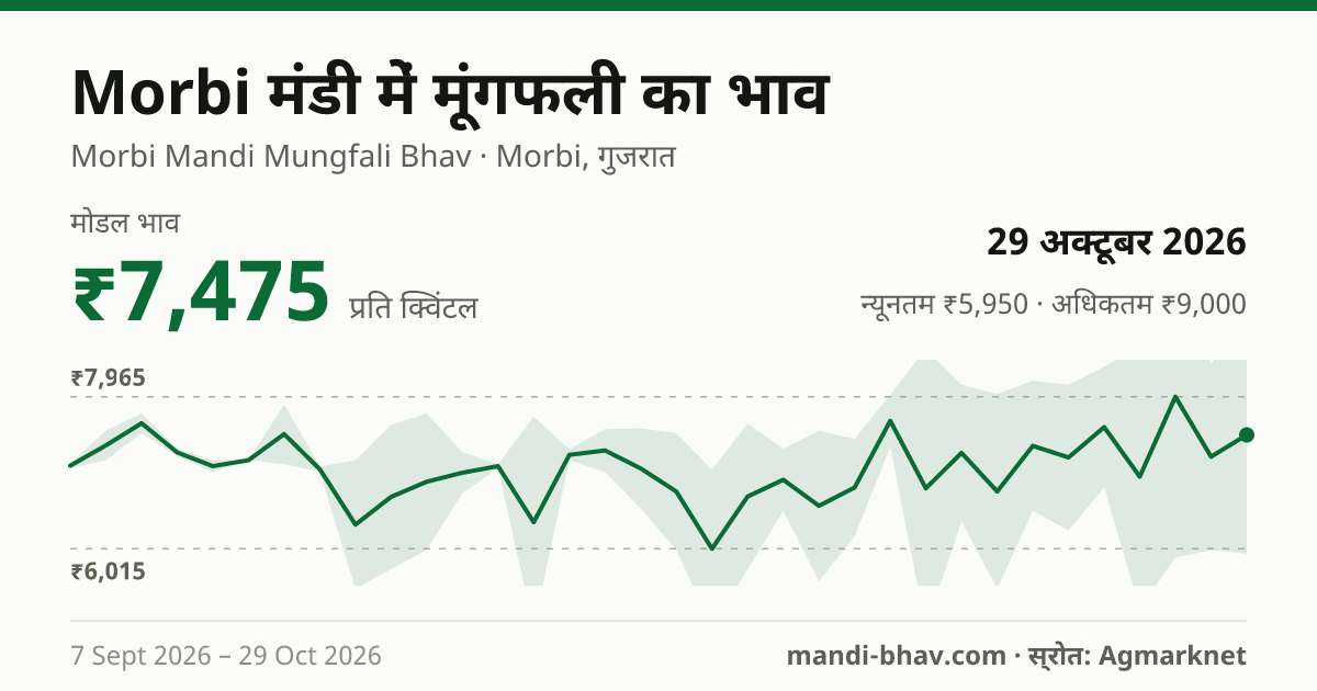 Morbi मंडी में मूंगफली का भाव 29 अक्टूबर 2026: मोडल ₹7,475 प्रति क्विंटल, भाव के रुझान का चार्ट