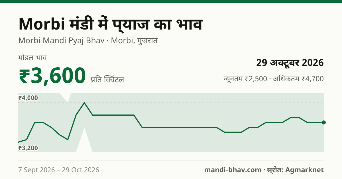 Morbi मंडी में प्याज का भाव 29 अक्टूबर 2026: मोडल ₹3,600 प्रति क्विंटल, भाव के रुझान का चार्ट