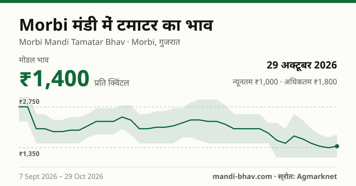 Morbi मंडी में टमाटर का भाव 29 अक्टूबर 2026: मोडल ₹1,400 प्रति क्विंटल, भाव के रुझान का चार्ट