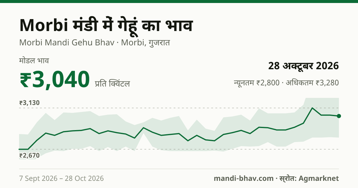 Morbi मंडी में गेहूं का भाव 28 अक्टूबर 2026: मोडल ₹3,040 प्रति क्विंटल, भाव के रुझान का चार्ट