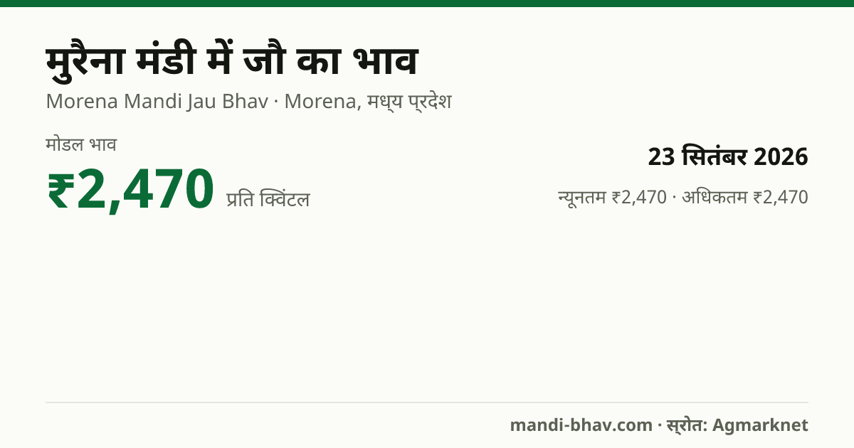 मुरैना मंडी में जौ का भाव 23 सितंबर 2026: मोडल ₹2,470 प्रति क्विंटल, भाव के रुझान का चार्ट