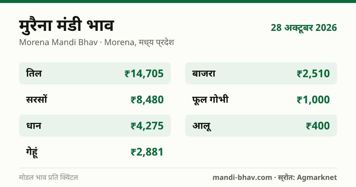 मुरैना मंडी भाव 28 अक्टूबर 2026: फसलवार मोडल रेट प्रति क्विंटल