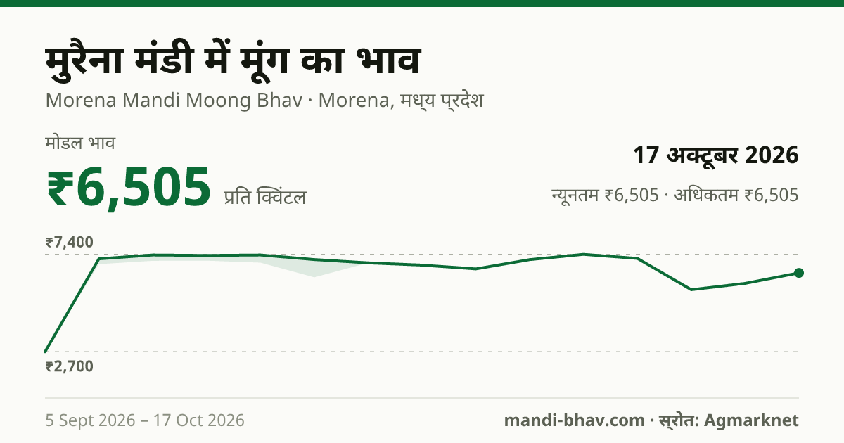 मुरैना मंडी में मूंग का भाव 17 अक्टूबर 2026: मोडल ₹6,505 प्रति क्विंटल, भाव के रुझान का चार्ट
