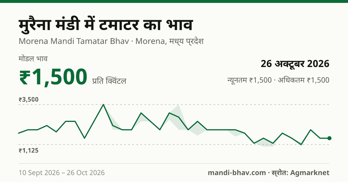 मुरैना मंडी में टमाटर का भाव 26 अक्टूबर 2026: मोडल ₹1,500 प्रति क्विंटल, भाव के रुझान का चार्ट