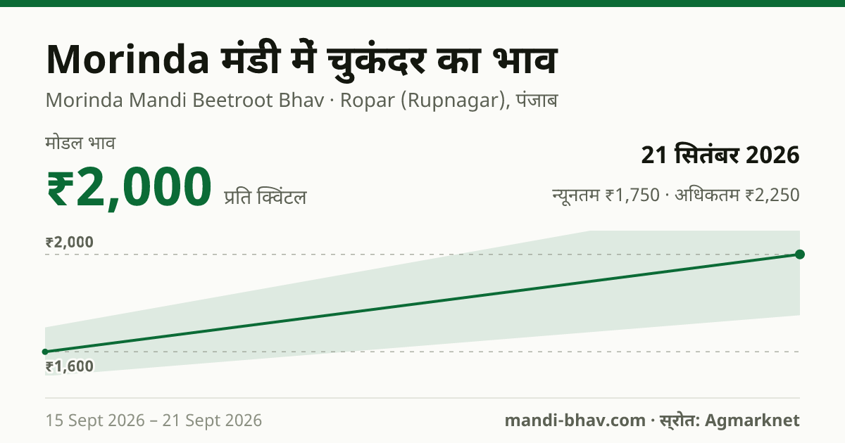 Morinda मंडी में चुकंदर का भाव 21 सितंबर 2026: मोडल ₹2,000 प्रति क्विंटल, भाव के रुझान का चार्ट