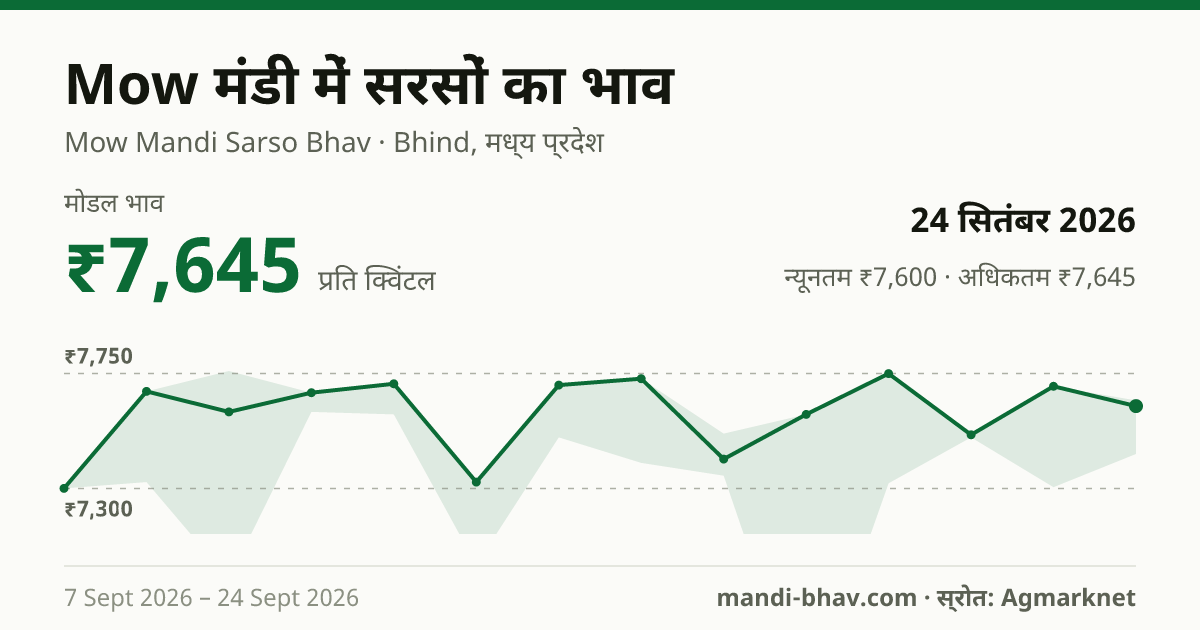 Mow मंडी में सरसों का भाव 24 सितंबर 2026: मोडल ₹7,645 प्रति क्विंटल, भाव के रुझान का चार्ट