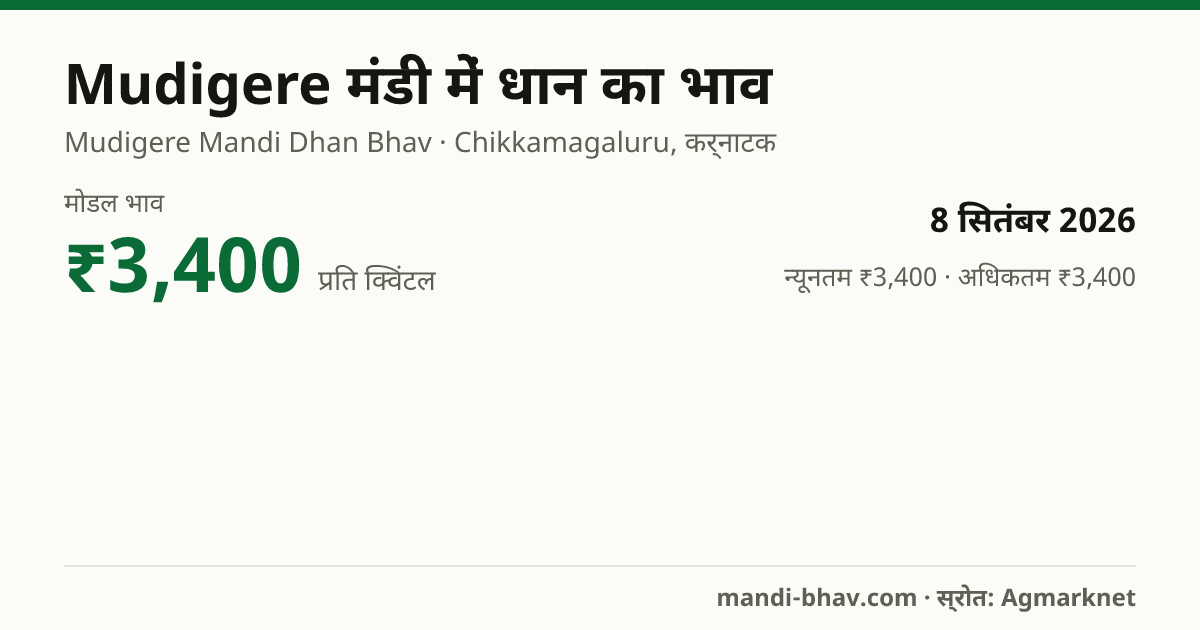 Mudigere मंडी में धान का भाव 8 सितंबर 2026: मोडल ₹3,400 प्रति क्विंटल, भाव के रुझान का चार्ट